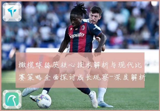 橄榄球赫茨核心技术解析与现代比赛策略全面探讨成长观察-深度解析